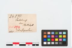 Etiketten zu Perlenkette (NHMW-PRAE-024870)